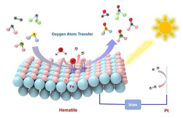 陈春城团队在光电催化表面氧原子转移反应方面取得新进展