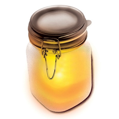蜜罐技术的发展历程，特点及其存在的问题