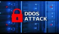 Akamai：我们在欧洲阻止了一场创纪录的 DDoS 攻击
