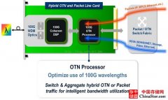 OTN交换&P-OTN有效降低100G网络成本