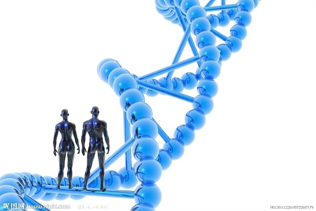 人类DNA