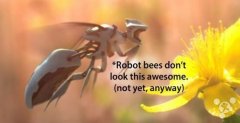 哈佛大学教授研发可替代蜜蜂的授粉机器人