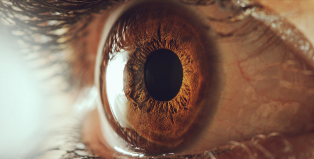 澳大利亚开发仿生眼球帮助盲人复明