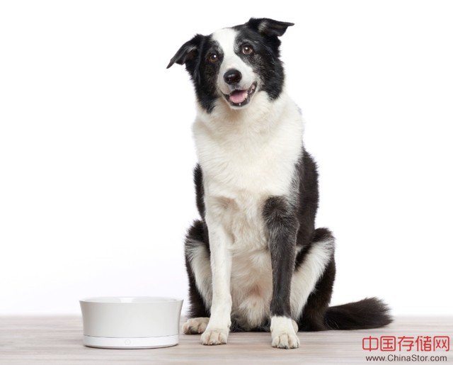 ProBowl是一款拥有智能警报功能的智能喂狗盆，当你的狗粮或水快吃完的时候，它可以给你手机APP端发送警报信息，或者可以自己联系周围的宠物商店买狗粮寄过来；