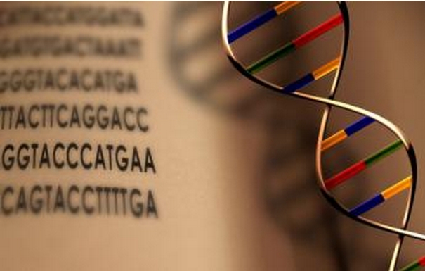 微软DNA存储技术获重大进展：已能保存100本世界名著