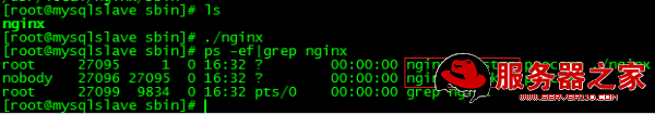 Linux下安装NGINX