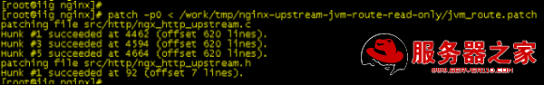 Nginx 下 安装nginx upstream jvm route模块