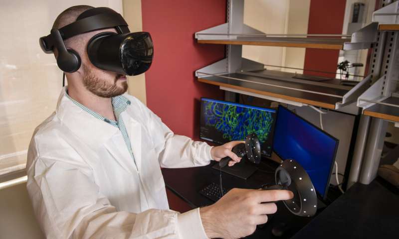 卡内基梅隆大学的生物科学研究生Brendan Gallagher使用虚拟现实技术检查使用扩展显微镜收集的3D生物数据。图片来源：卡内基梅隆大学