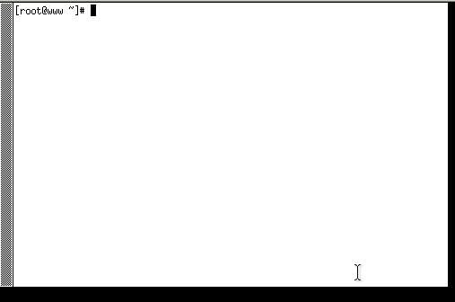 在 X 上面启动 xterm 终端机显示的结果